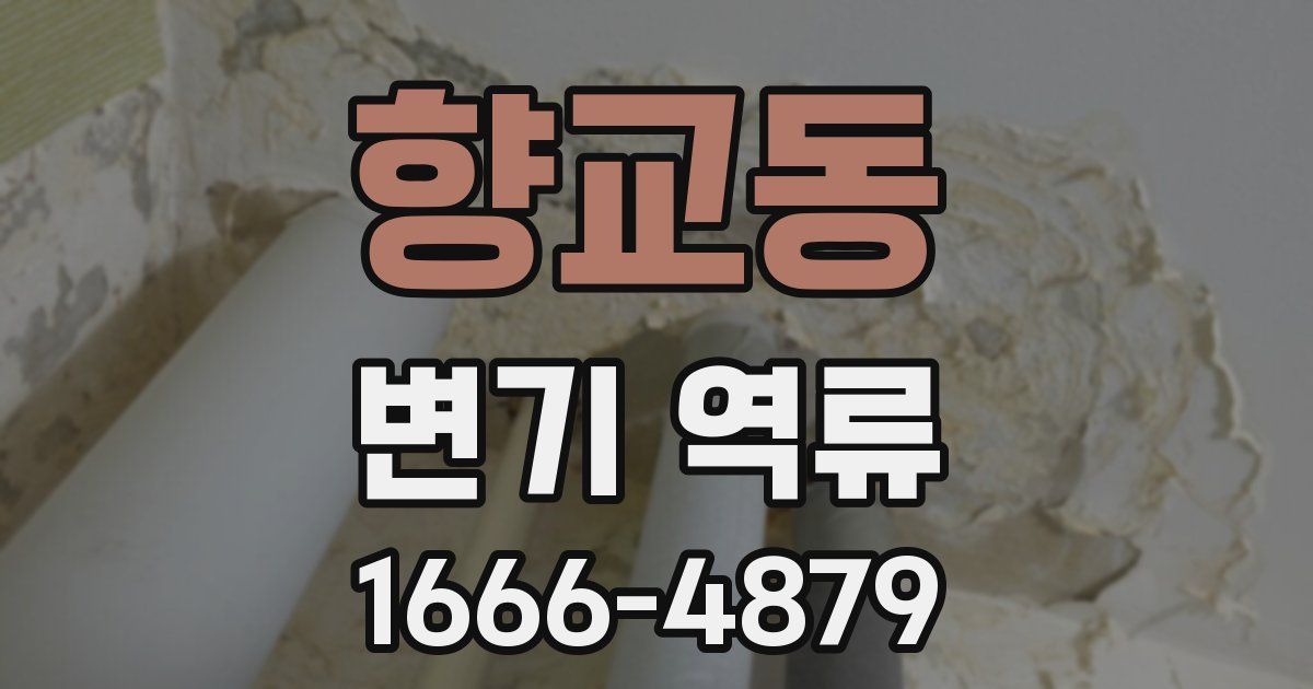 향교동 변기 역류
