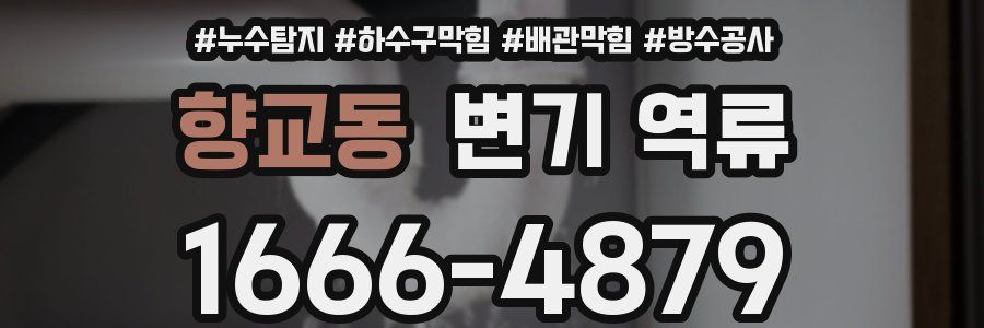 향교동 변기 역류
