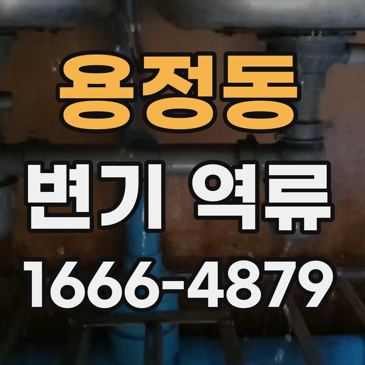 용정동 변기 역류