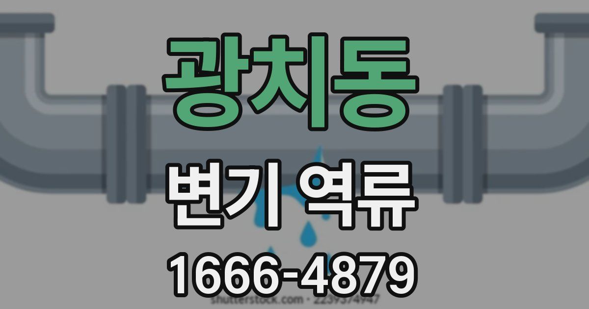 광치동 변기 역류