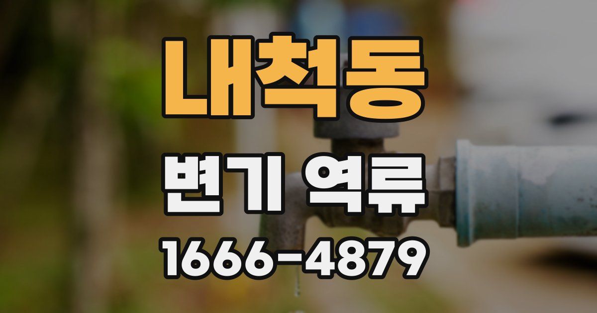 내척동 변기 역류