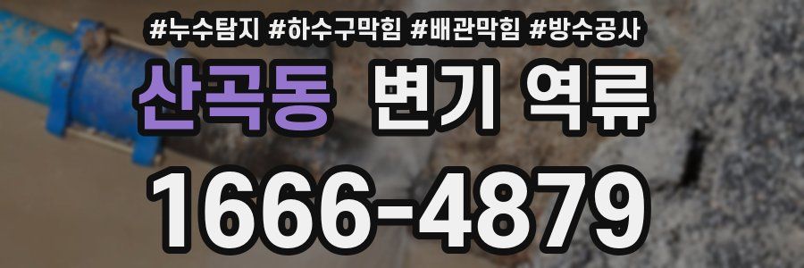 산곡동 변기 역류