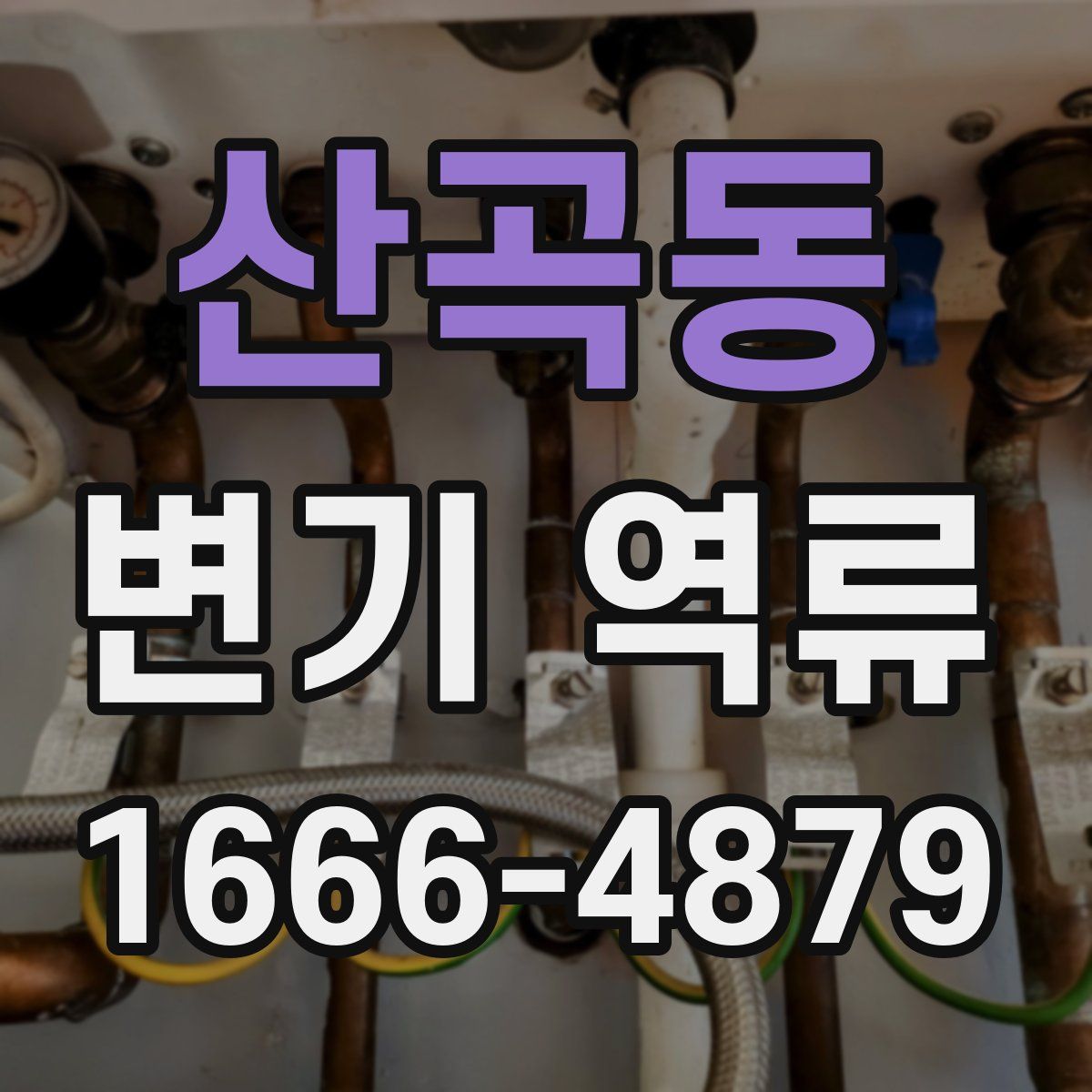 산곡동 변기 역류