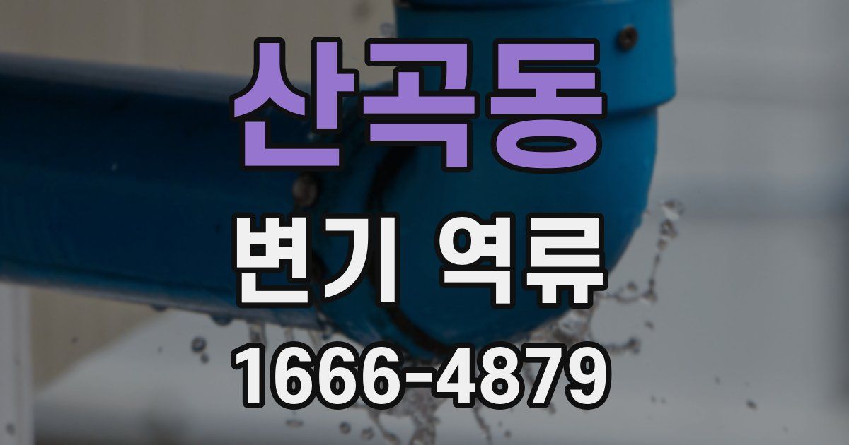 산곡동 변기 역류