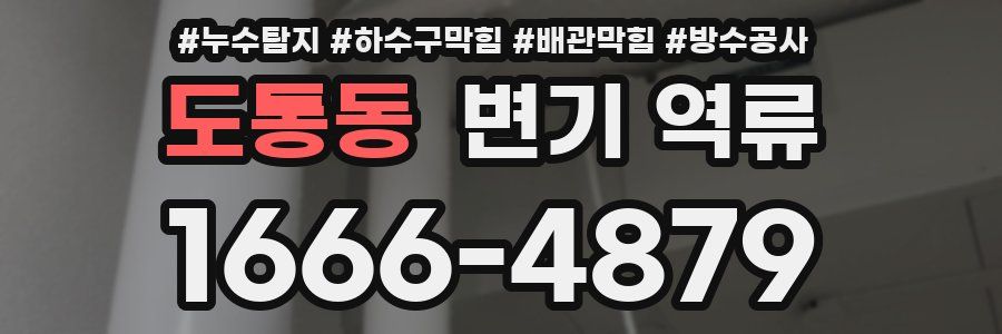 도통동 변기 역류