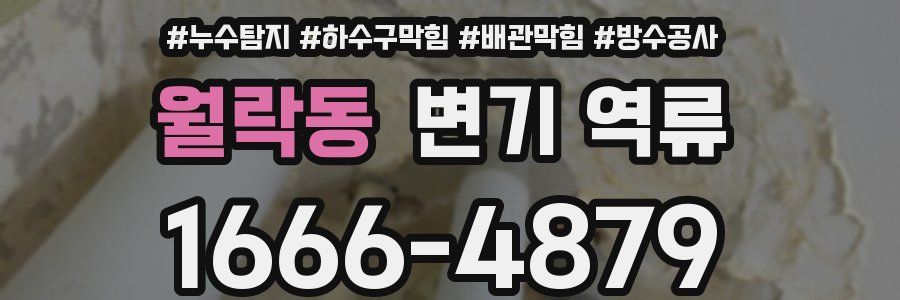 월락동 변기 역류
