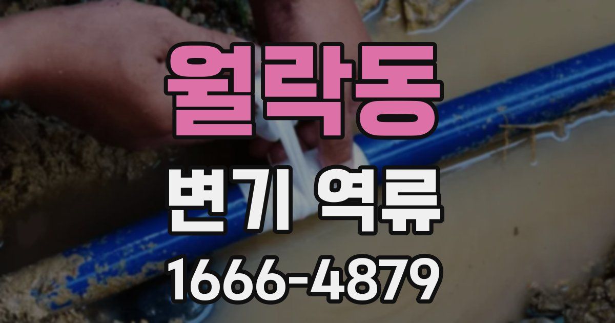월락동 변기 역류