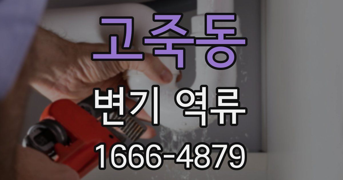 고죽동 변기 역류