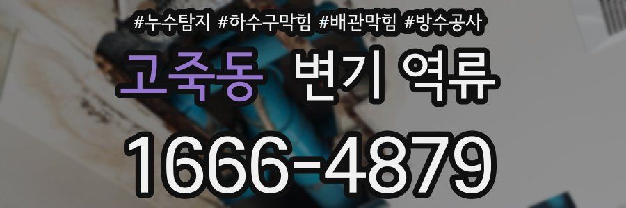 고죽동 변기 역류