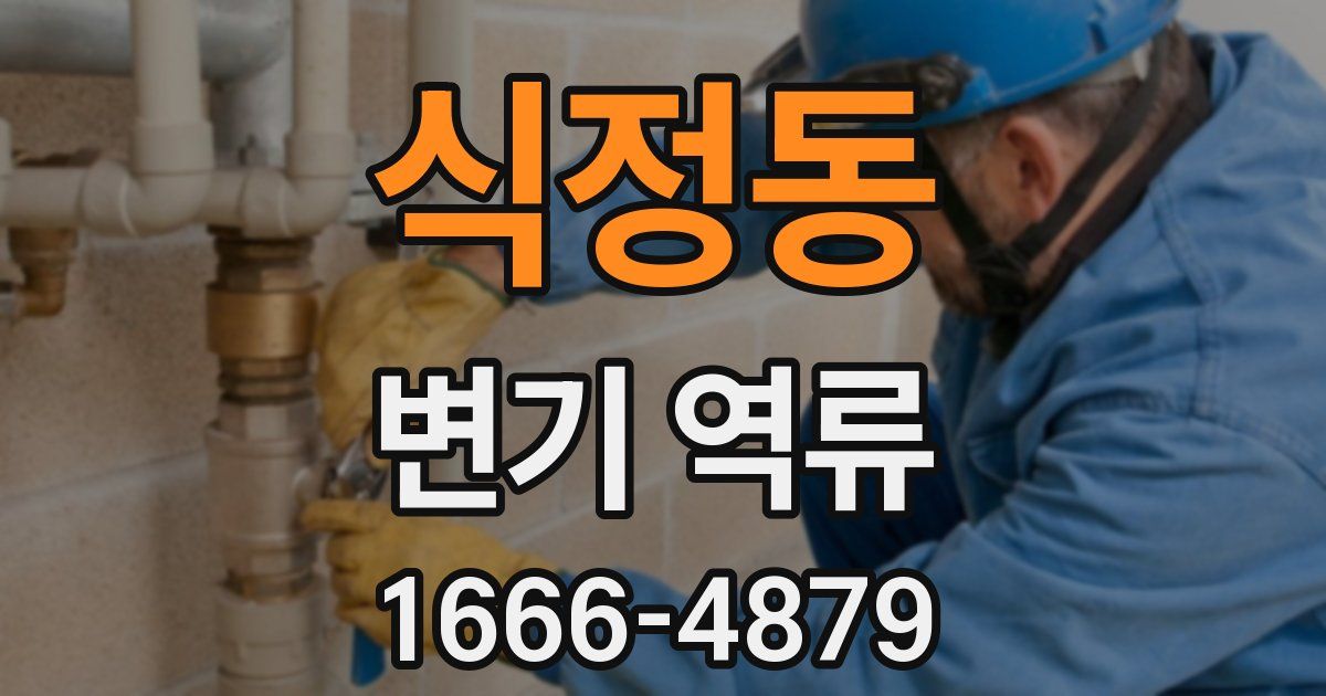 식정동 변기 역류