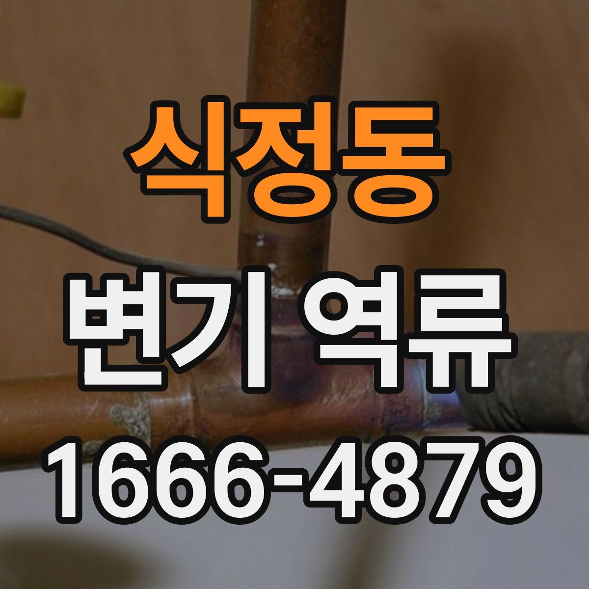 식정동 변기 역류