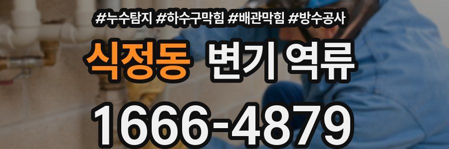 식정동 변기 역류