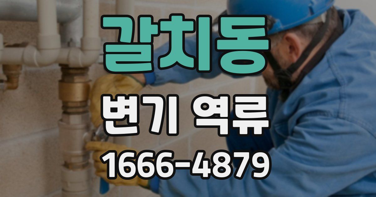 갈치동 변기 역류