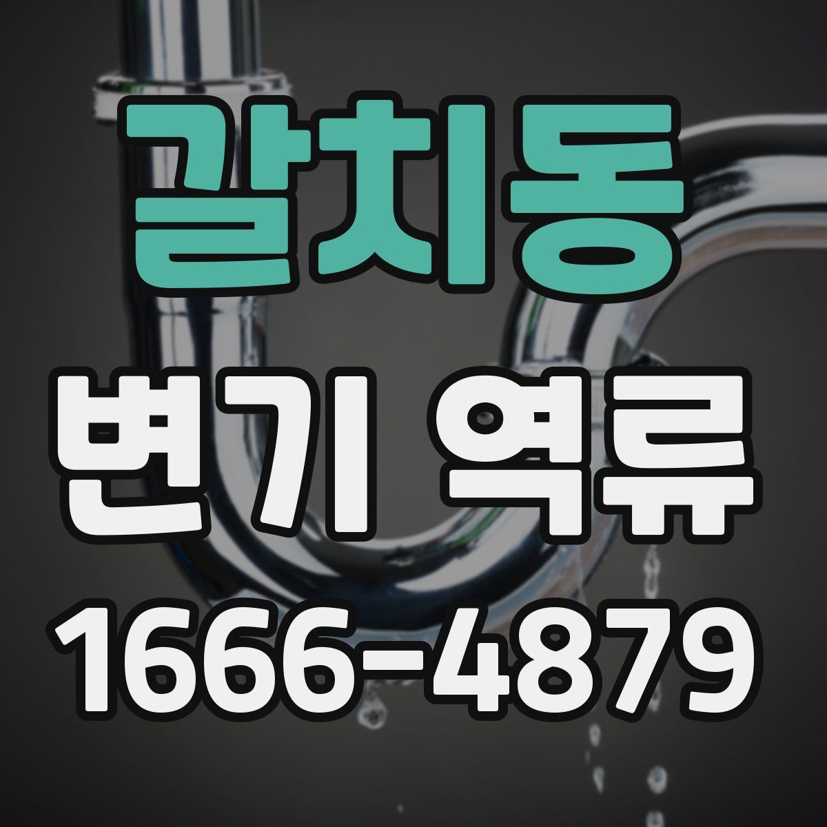 갈치동 변기 역류