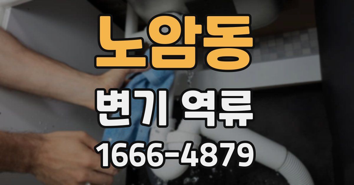 노암동 변기 역류