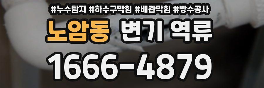 노암동 변기 역류