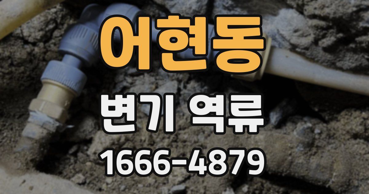 어현동 변기 역류