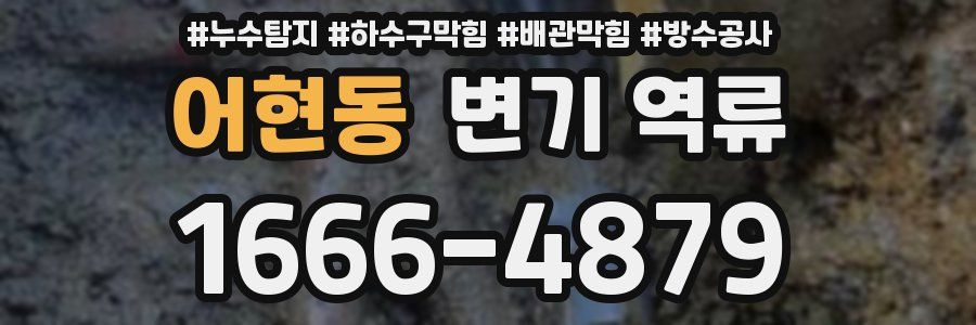 어현동 변기 역류