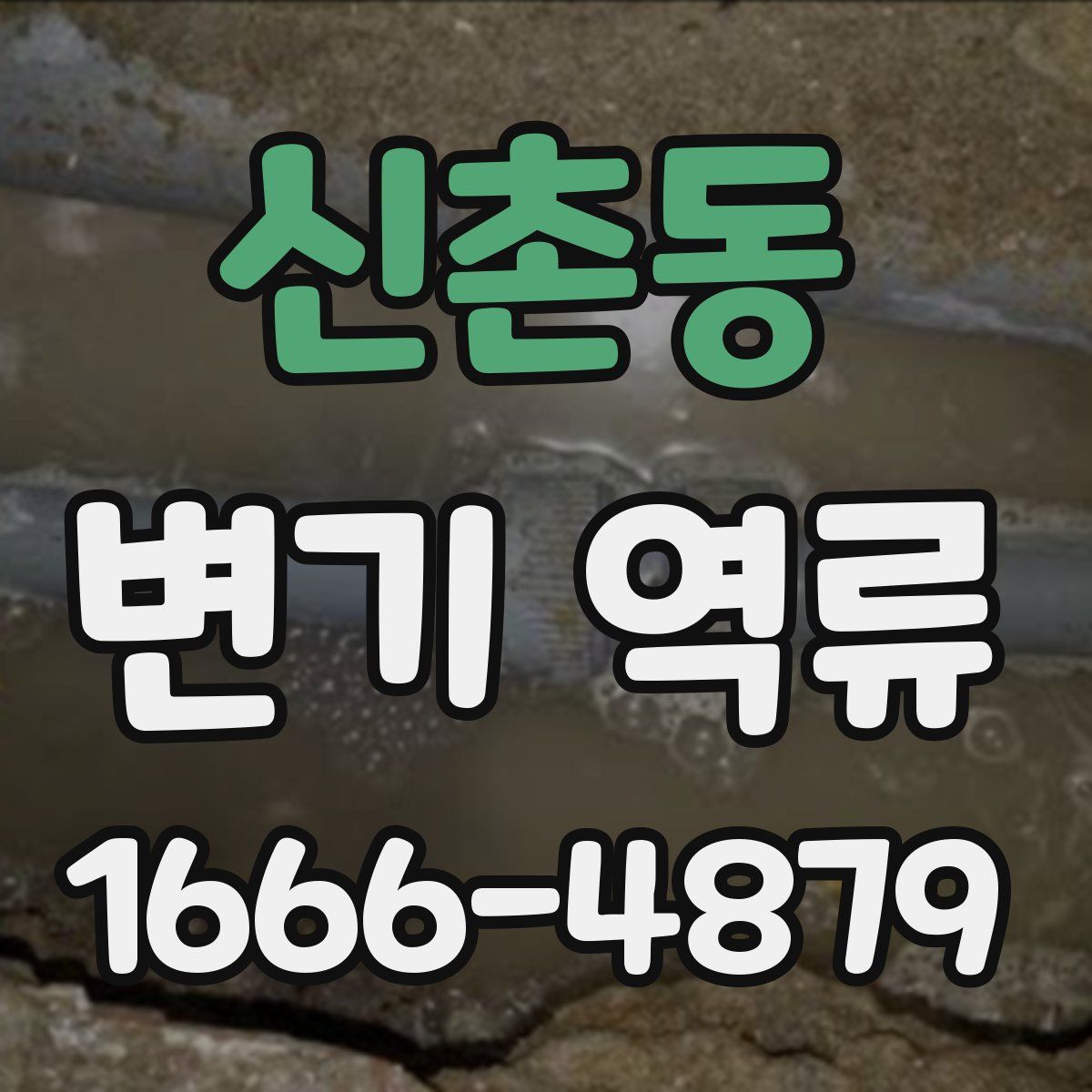 신촌동 변기 역류