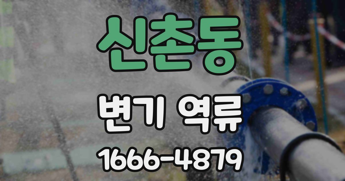 신촌동 변기 역류