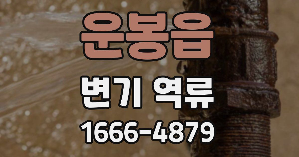 운봉읍 변기 역류