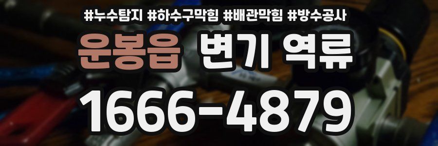 운봉읍 변기 역류