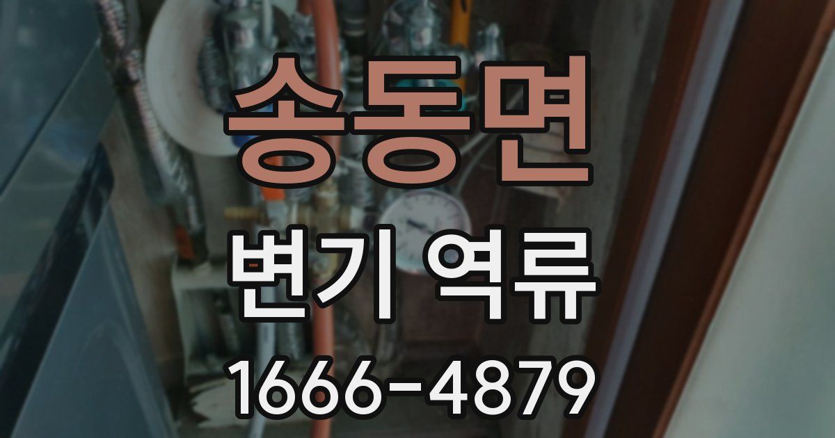 송동면 변기 역류