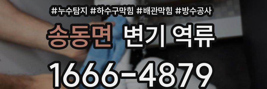 송동면 변기 역류