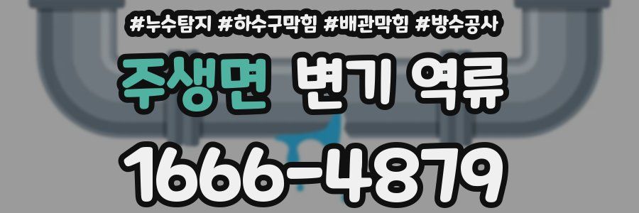 주생면 변기 역류
