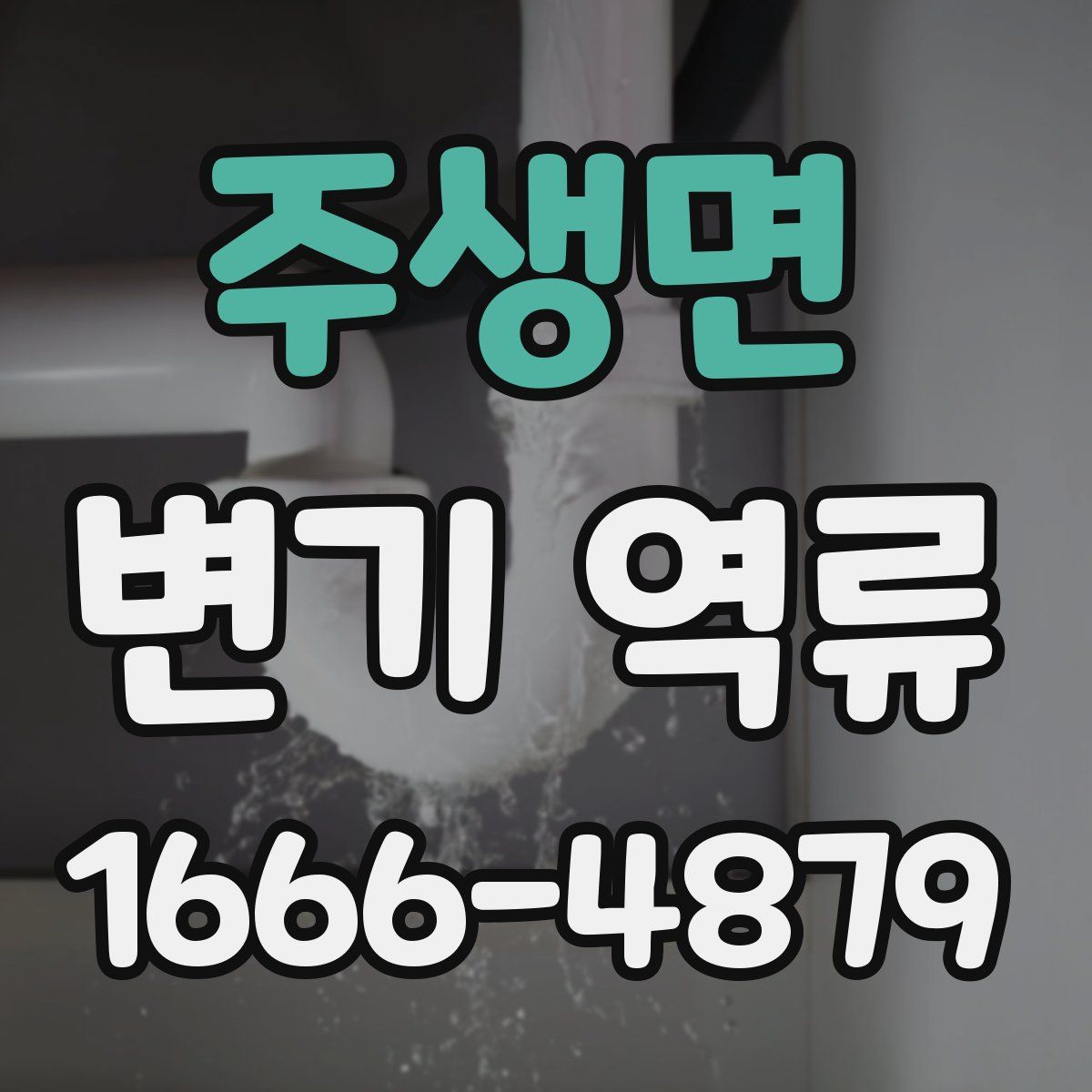 주생면 변기 역류