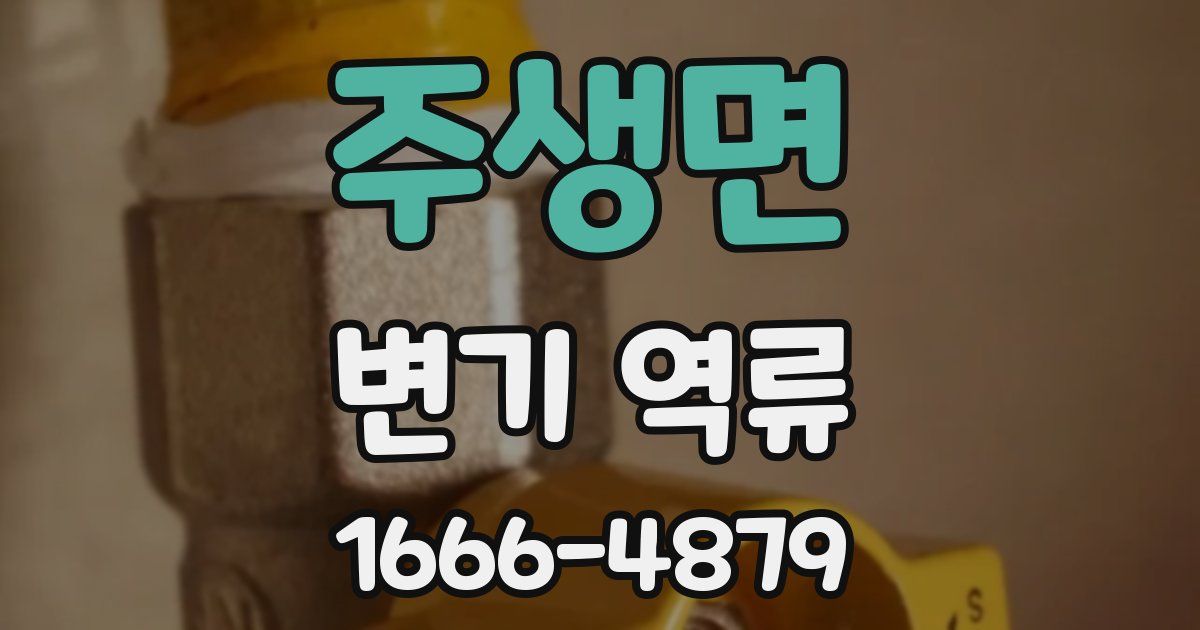 주생면 변기 역류