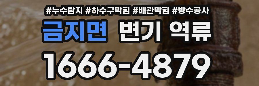 금지면 변기 역류