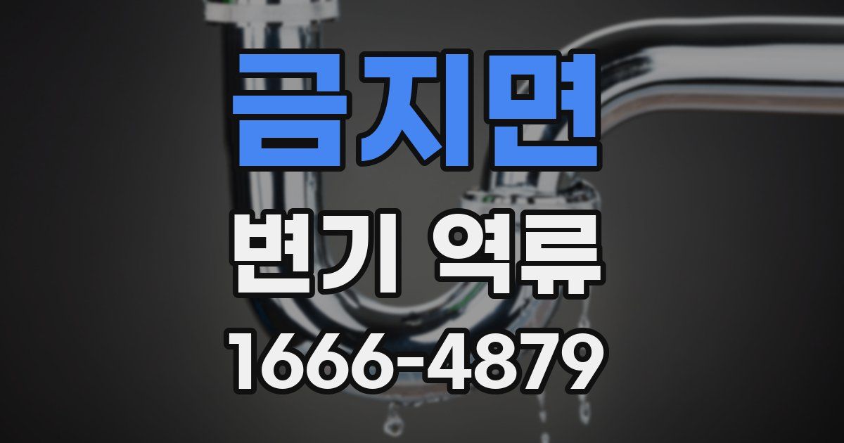 금지면 변기 역류