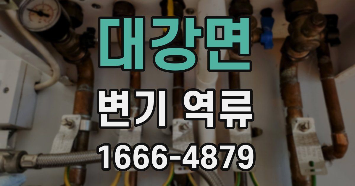 대강면 변기 역류