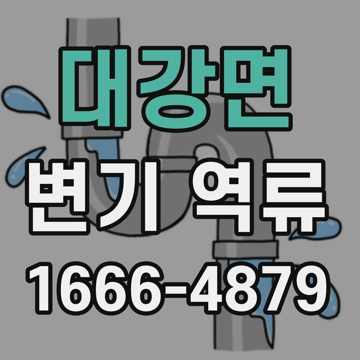 대강면 변기 역류