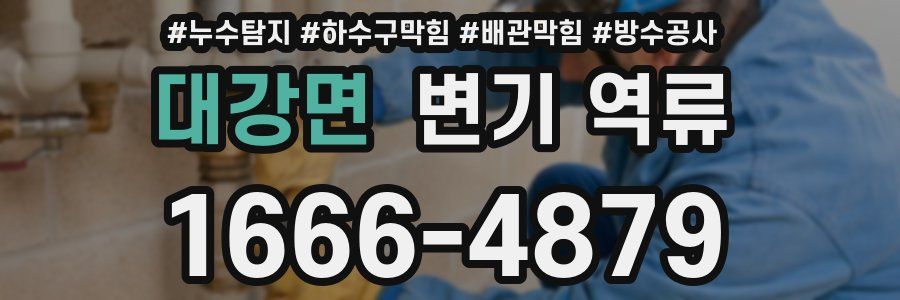 대강면 변기 역류