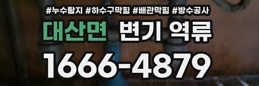 대산면 변기 역류