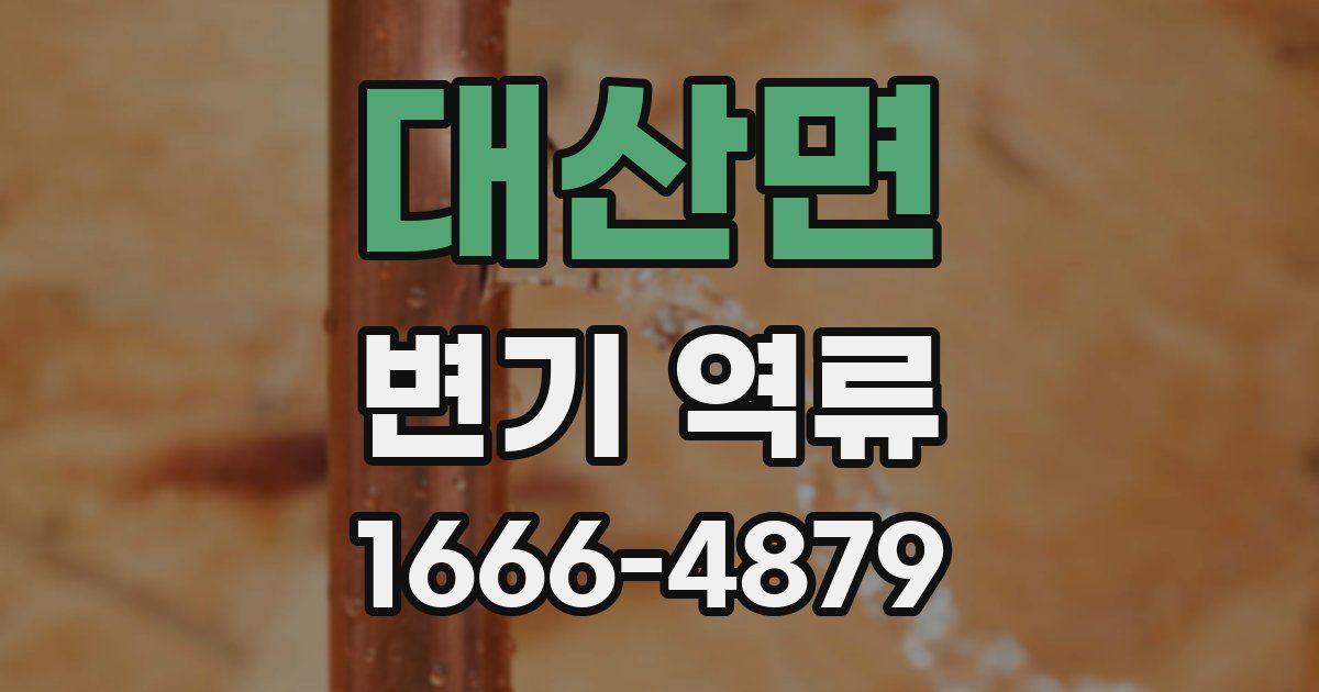대산면 변기 역류