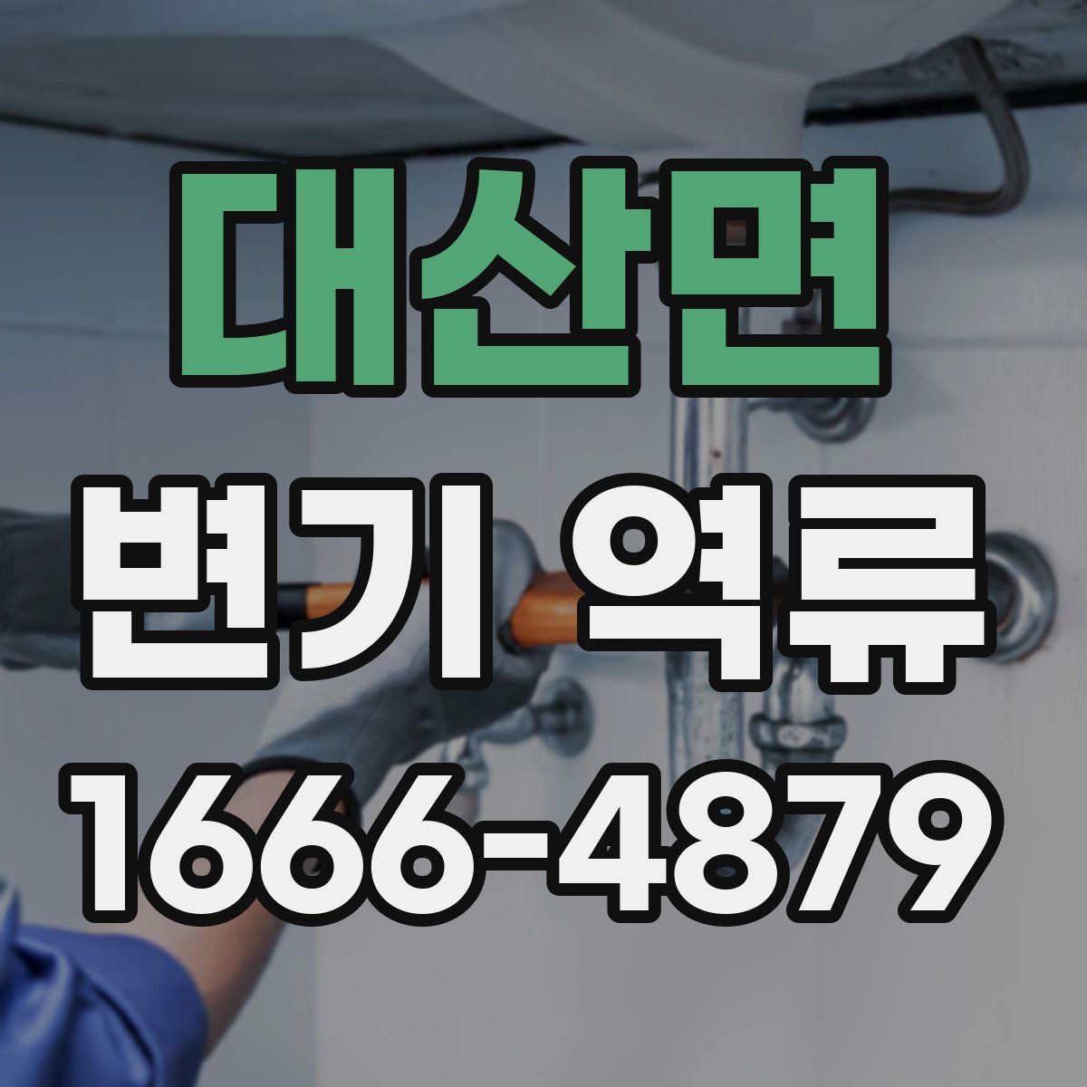대산면 변기 역류