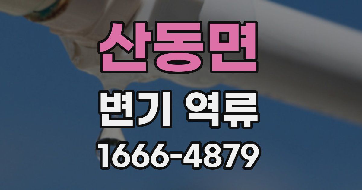산동면 변기 역류
