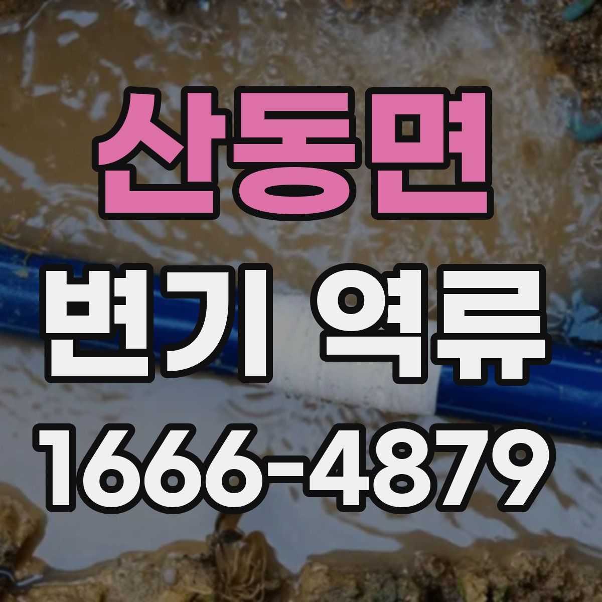 산동면 변기 역류