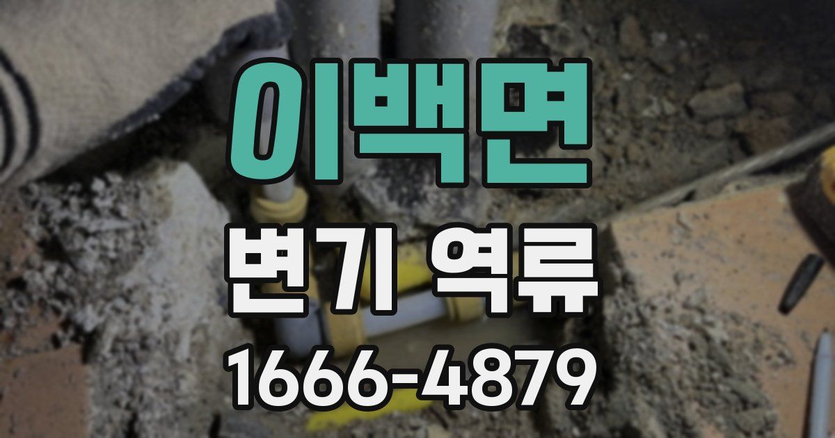 이백면 변기 역류