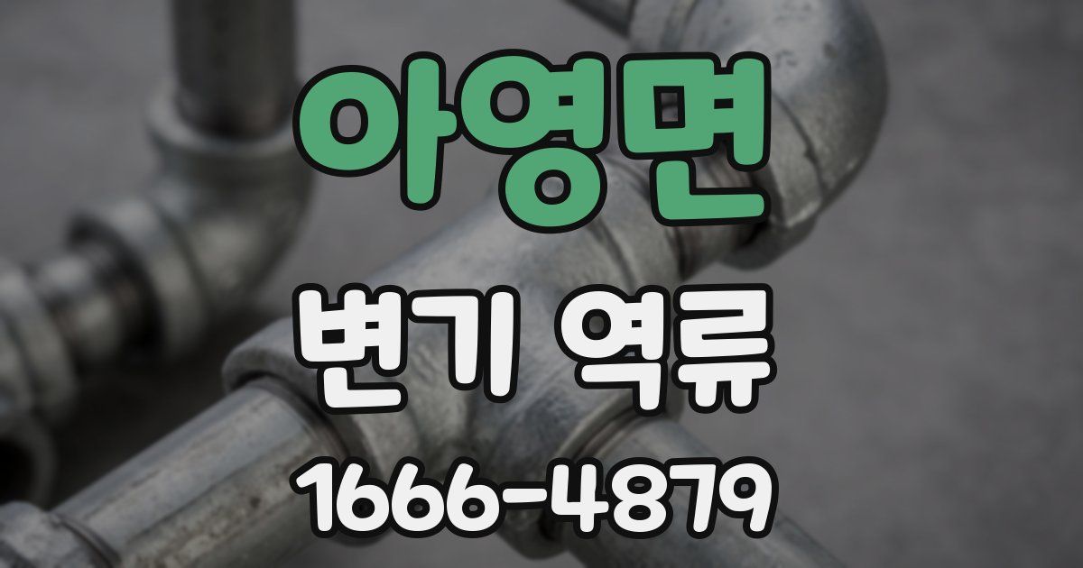 아영면 변기 역류
