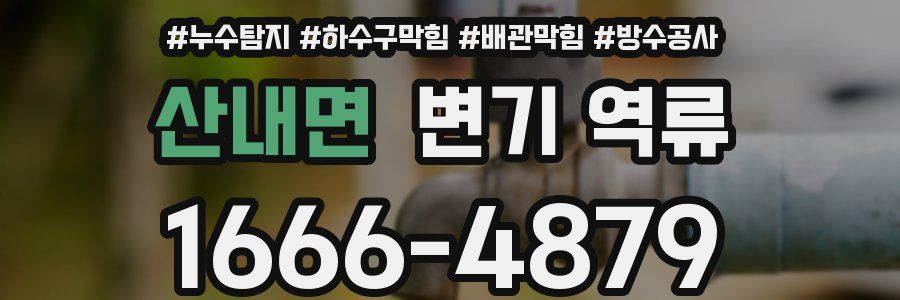 산내면 변기 역류