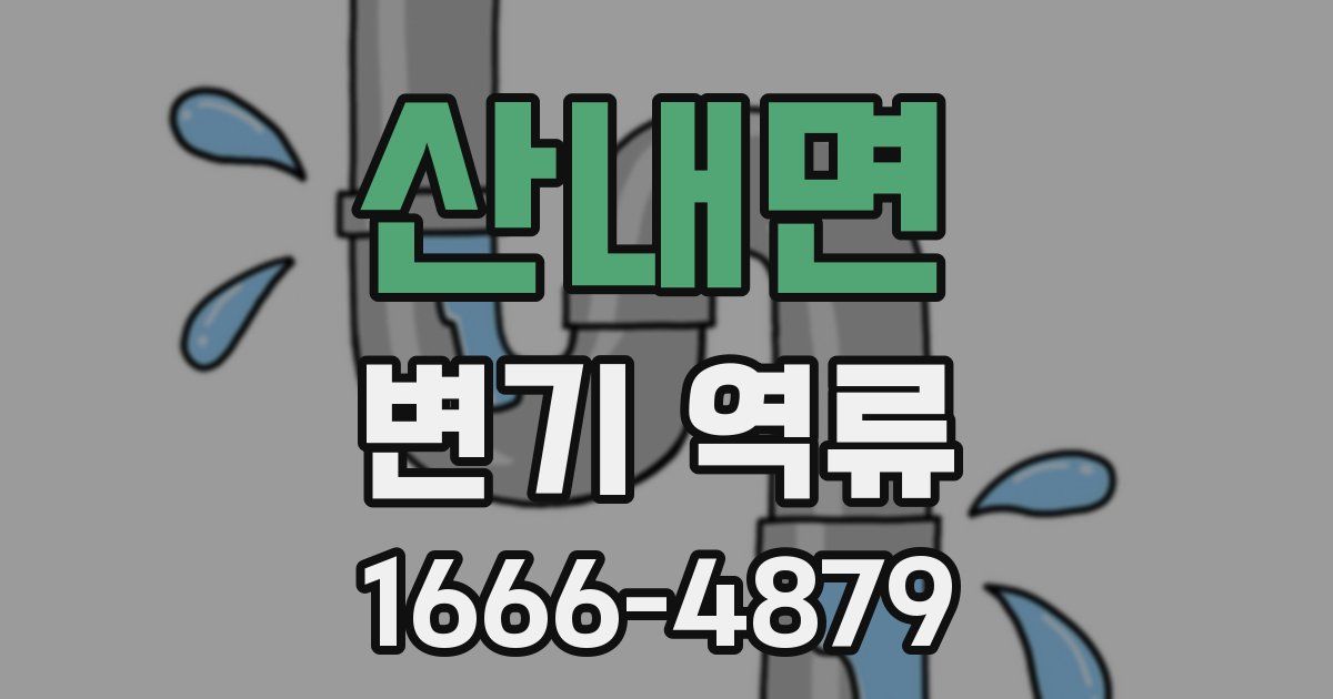 산내면 변기 역류