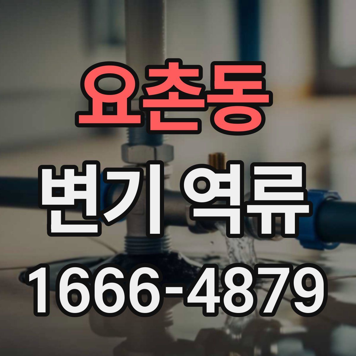 요촌동 변기 역류