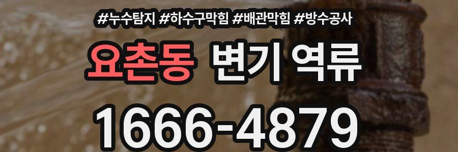 요촌동 변기 역류