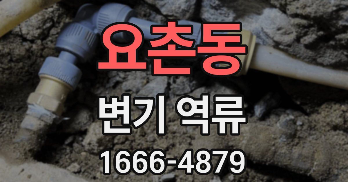 요촌동 변기 역류