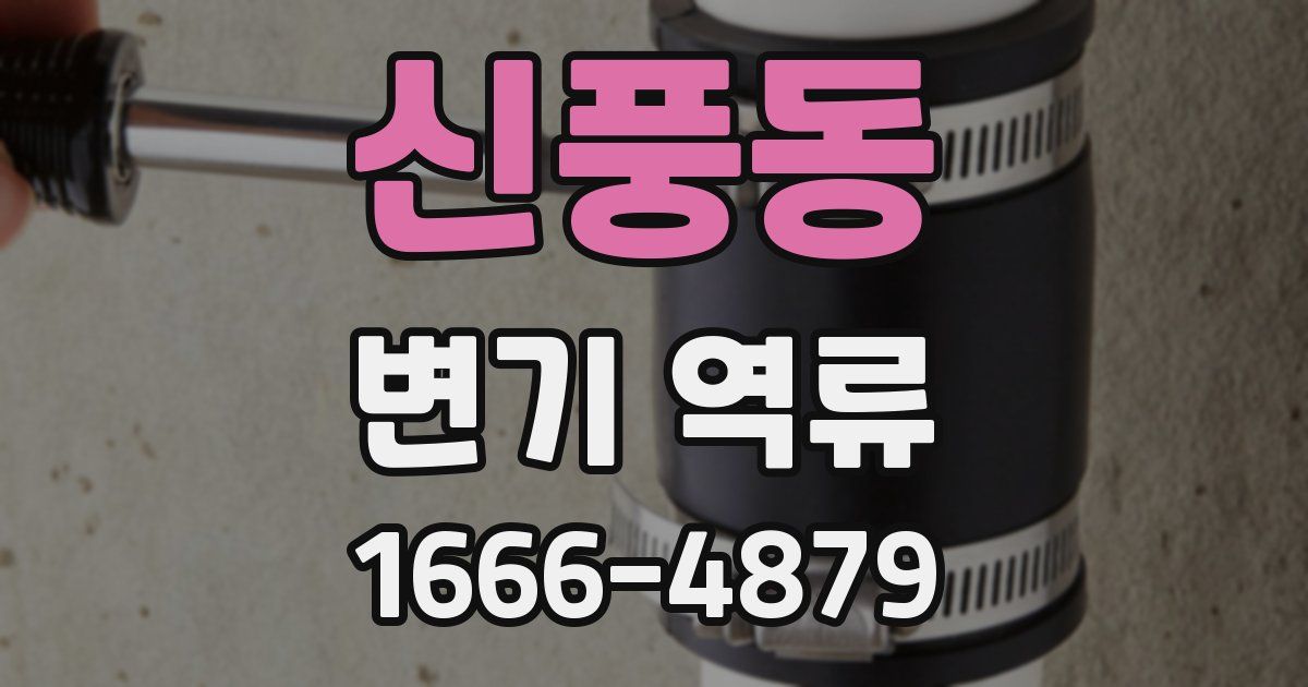 신풍동 변기 역류