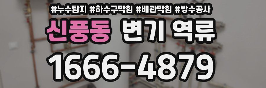 신풍동 변기 역류